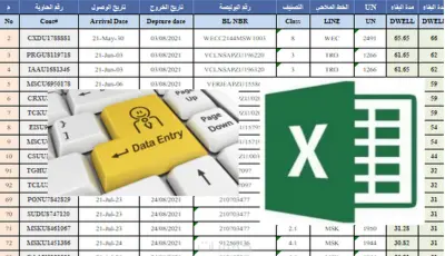 إدخال وتنظيم بيانات احترافية على Excel