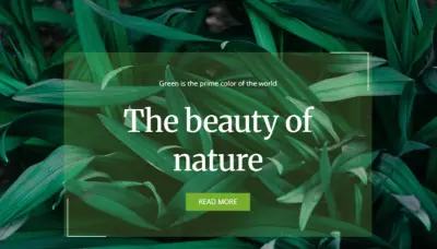 تصميم وبرمجه موقع front-end