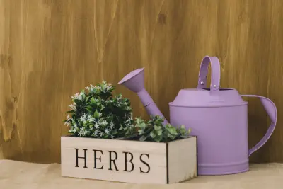 تعزيز الخصوبة طبيعيا لتحسين جودة البوبيضات والحيوانات المنوية