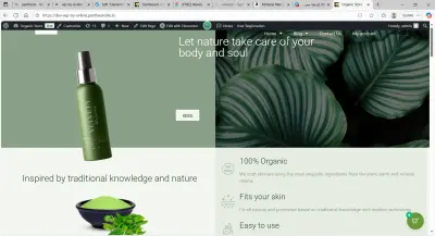 مطور ووردبريس