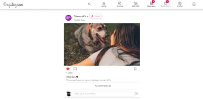 شبيه انستغرام خص بعشاق الكلاب DOGSTAGRAM