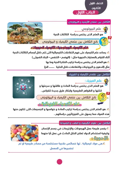 "تصميم مستندات وعروض احترافية (وورد، باوربوينت، إنديزاين)" ✅