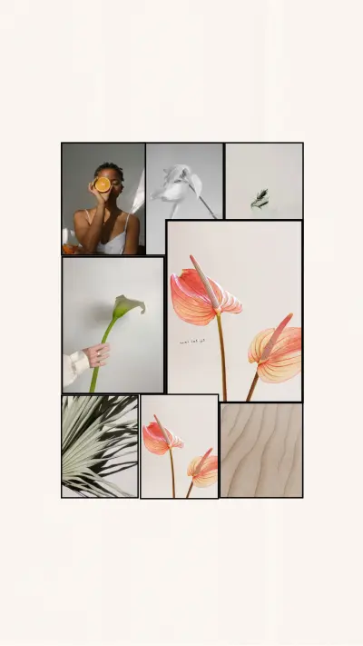 كتابه محتوي وتعديل صور