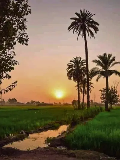 كتابه محتوي وتعديل صور