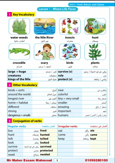 جمهورية مصر العربية