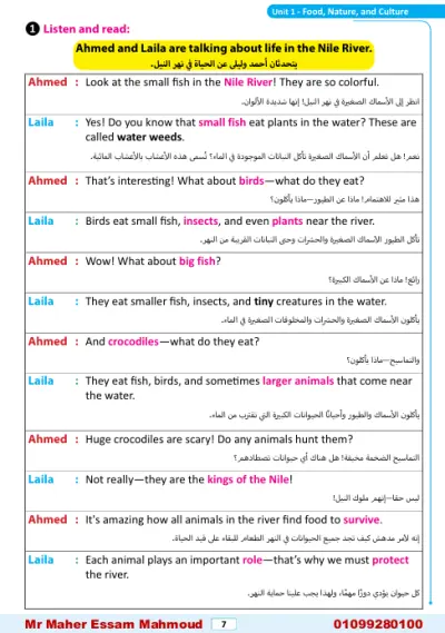 جمهورية مصر العربية