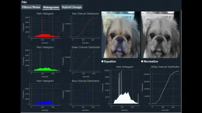 Image Processing Desktop Application