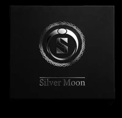 تصميم شعار احترافي لعلامة تجارية للإكسسوارات الرجالية الفضية (Silver Moon)