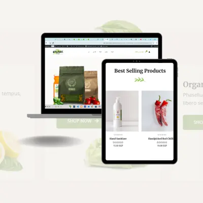إنشاء متجر إلكتروني لعرض وبيع المنتجات العضوية بشكل احترافي