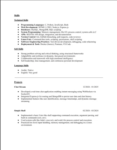 Professional ATS friendly CV