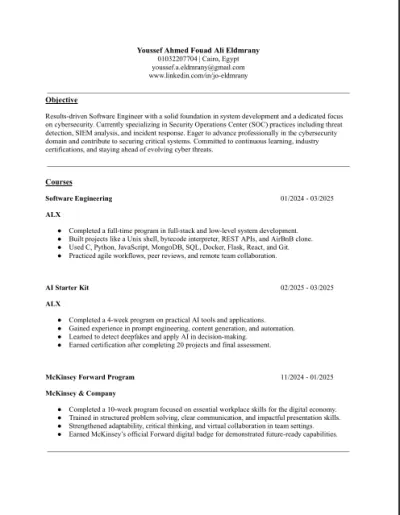 Professional ATS friendly CV