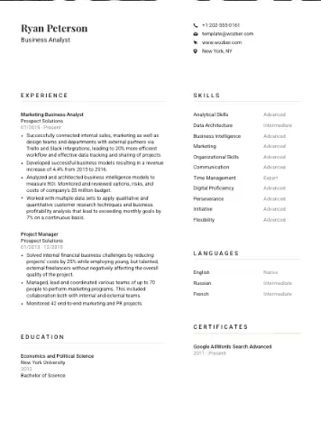 professional CV