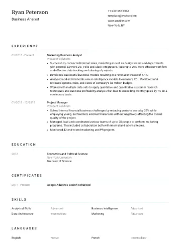 professional CV