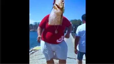 فيديو في مجال صيد الاسماك