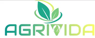 مصمم جرافيك