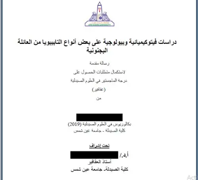 تدقيق لغوي لملخص رسالة ماجيستير