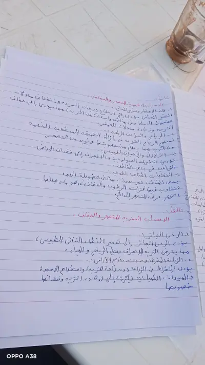 مصمم وكاتب محتوي
