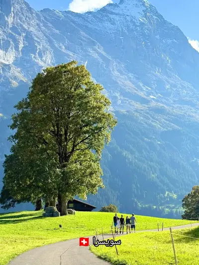 تعديل ع الصور او الفيديوهات