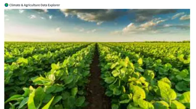 🌍 تطبيق تحليل بيانات المناخ والزراعة