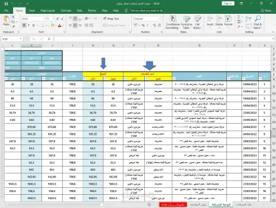 إدخال وتنظيم البيانات