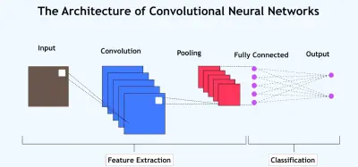 Cats & dogs classification