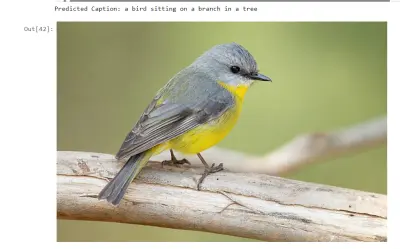 وصف ذكي للصور  باستخدام الTransformer