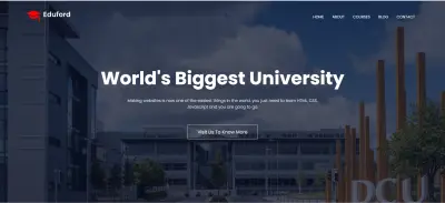 design of a university website