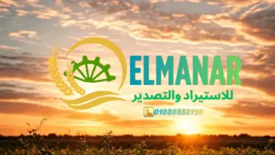 تصميم شعار احترافي وذو جودة فائقة