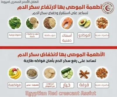 مشاريع للهلال الأحمر المصرى فرع اسيوط