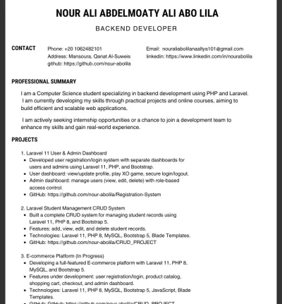 Professional CV Design – Word