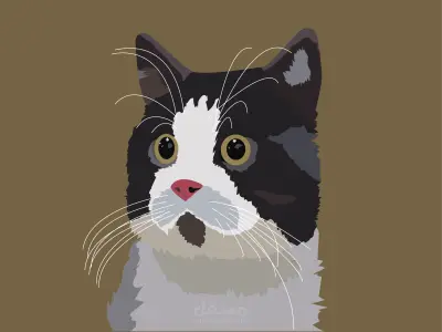 قطة مرسومة بواسطة adobe illustrator