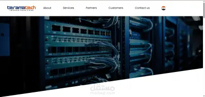 صفحة هبوط لشركة مصرية