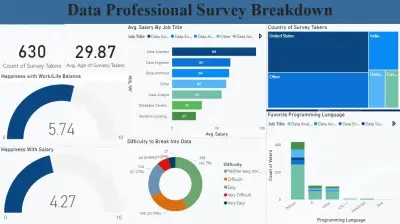 Data Professional Survery Breakdown