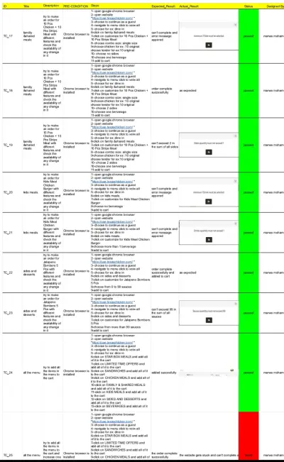 Manual Software Testing for website
