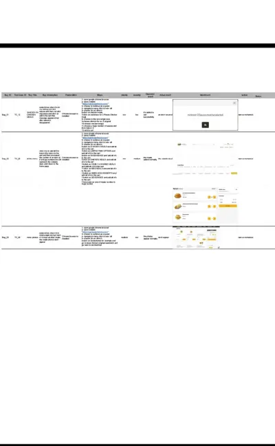 Manual Software Testing for website
