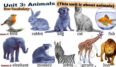 Inspiring Booklet for NGL Wonderful World 2e (Grades 1-6)