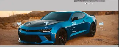 Designing a Professional Web Platform for Car Management and Display