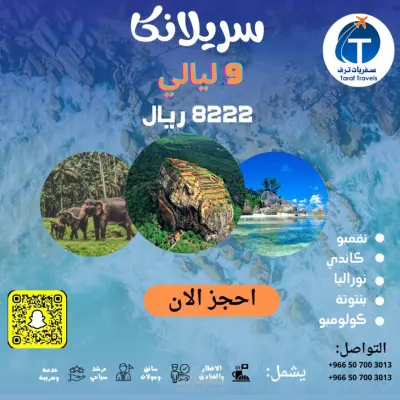 تصميم منشورات سوشيال ميديا احترافية لأي مجال