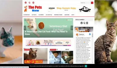 thepetsnow website