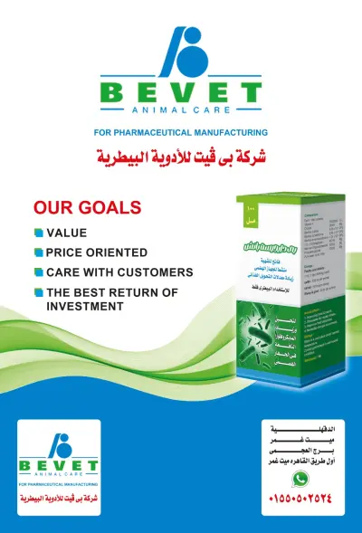 تصميم نتيجة لعام 2026