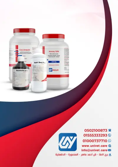 دعايا سنوية