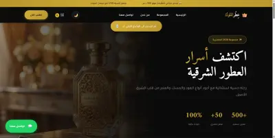 صفحة هبوط احترافية لنشاطك التجاري أو منتجاتك