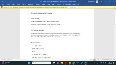 Professional ATS-Friendly CV Writing (English)