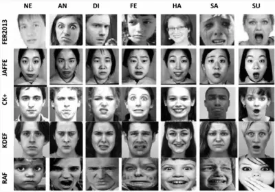 Facial expression recognition fer Using Machine Learning