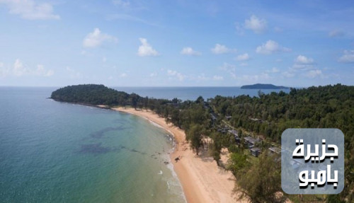 كتابة مقال عن جزيرة بامبو