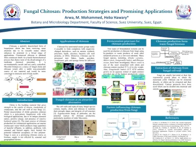 تصميم واعداد بوستر علمي