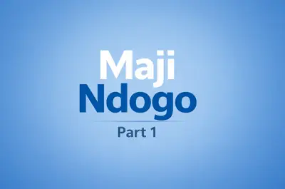 Maji Ndogo Project – Part 1 | Data Analysis