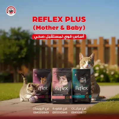 تصاميم المنتجات