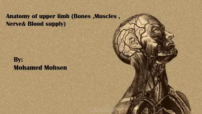 تصميم عرض تقديمي احترافي بتصميم عصري وجذاب