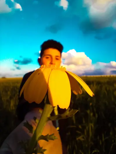 صور جميل الغرب شمس